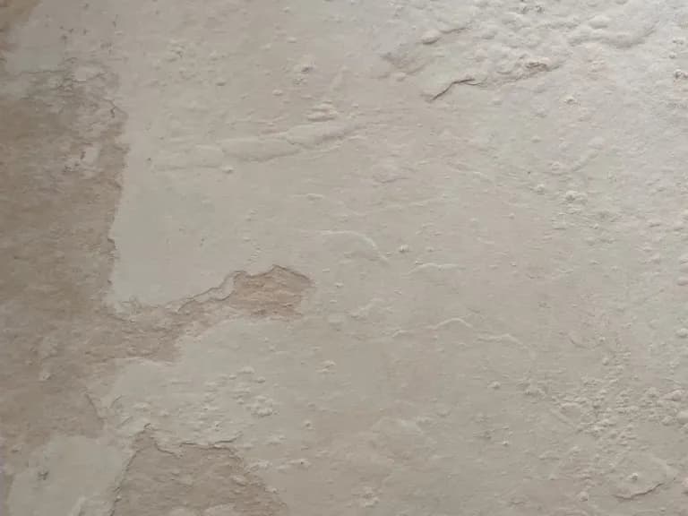 AUTUMN CREAM 3