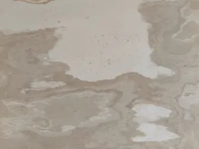 AUTUMN CREAM