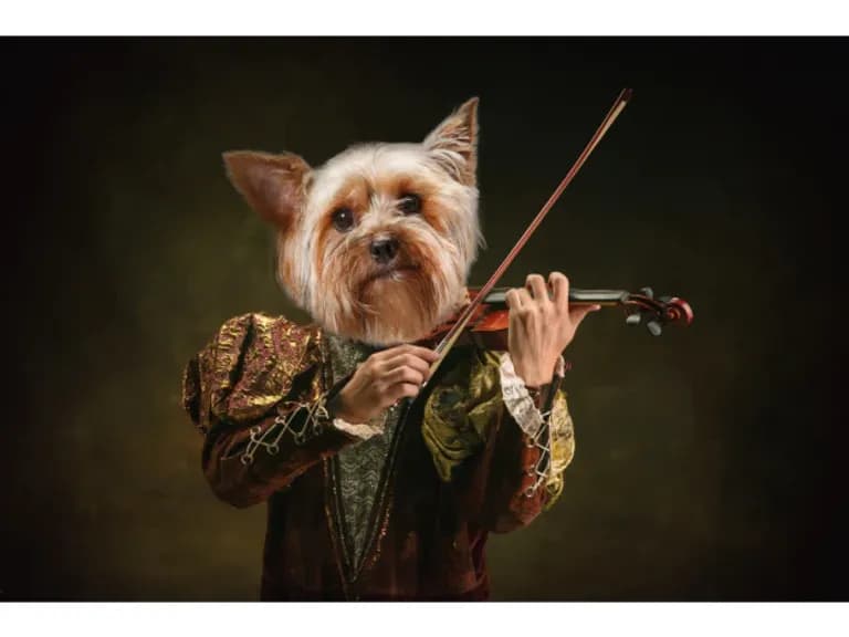 Tablou pe sticlă VIOLINIST 80X120CM