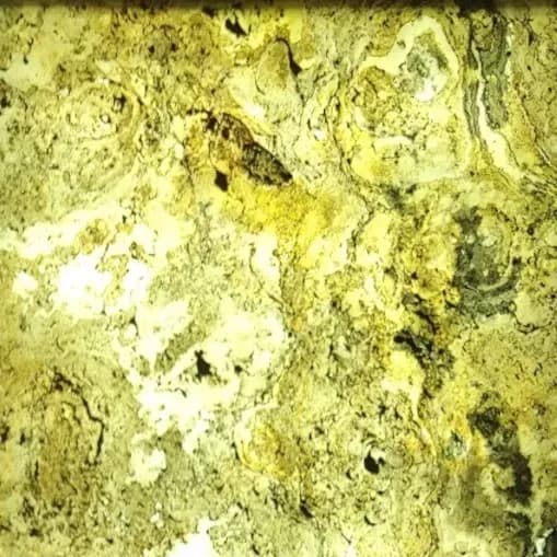 ІНДІЙСЬКА ОСІНЬ X