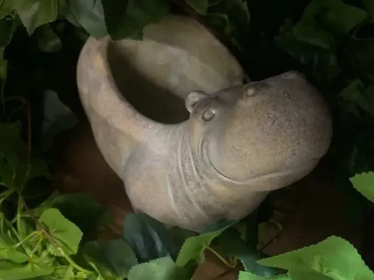 Ghiveci decorativ HIPPO 22CM 6