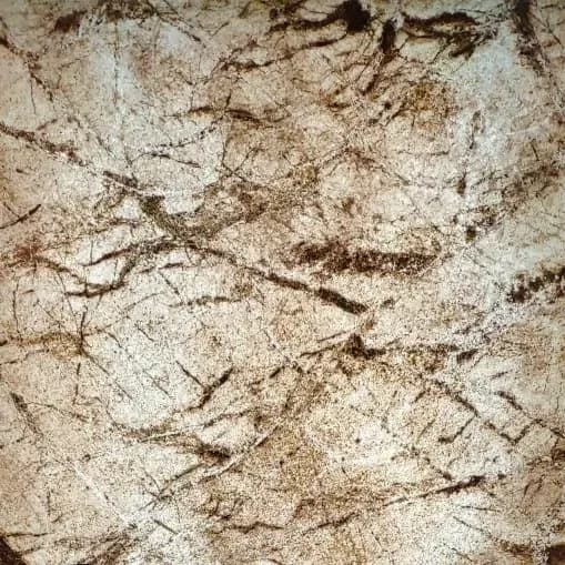 RAINFOREST BROWN 2