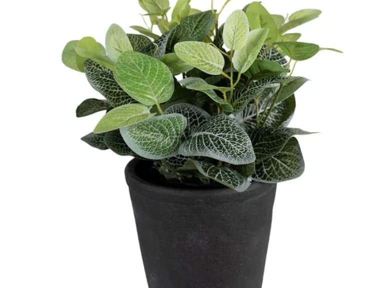 Ghiveci decorativ GREY CERAMIC