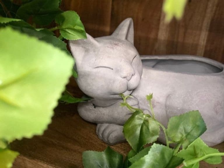 Ghiveci decorativ LIGHT KITTY 26CM 3